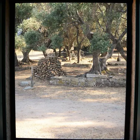Stazzu Spadulagliu Near Olbia Appartement *