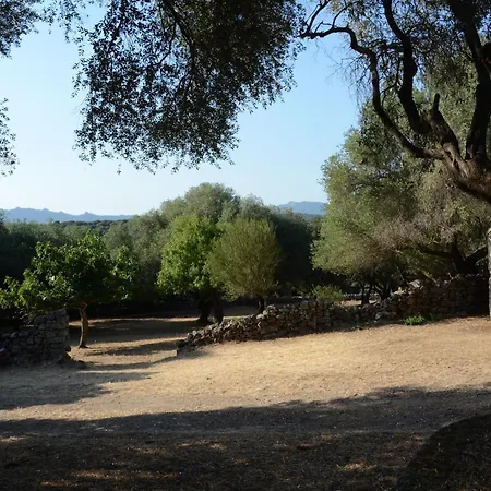 Stazzu Spadulagliu Near Olbia Appartement Telti