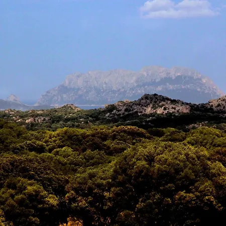Stazzu Spadulagliu Near Olbia Διαμέρισμα
